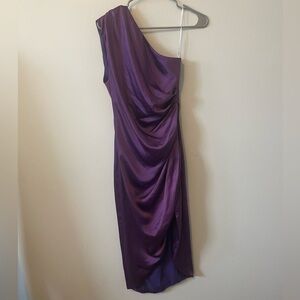 Cassini Dress in Royal Purple